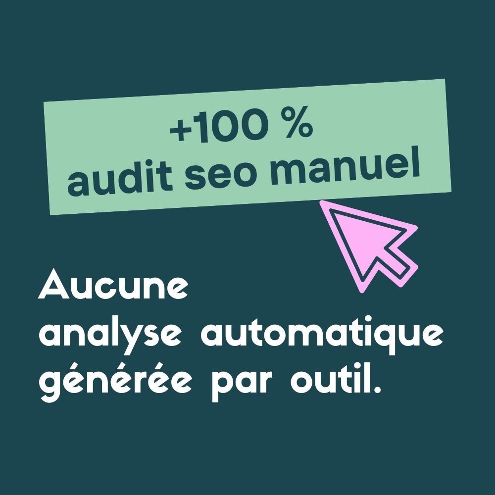 bon audit seo