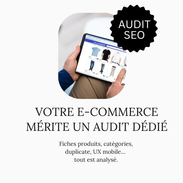 prix audit seo ecommerce