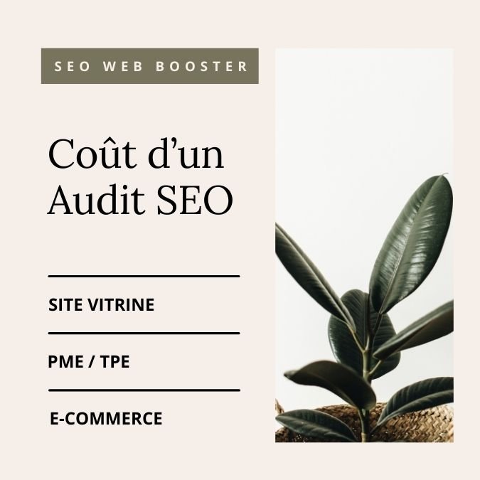prix audit seo